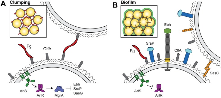 Fig 12