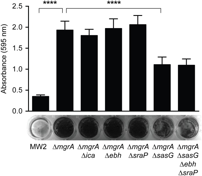 Fig 11