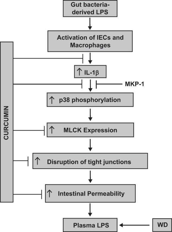 Fig. 10.