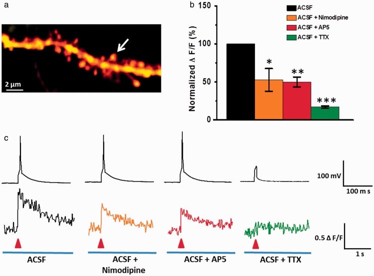 Figure 3.