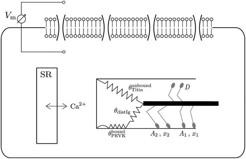 Fig 3