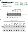 Extended Data Fig. 3 |