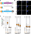 Extended Data Fig. 2 |