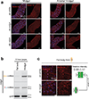 Extended Data Fig. 9 |