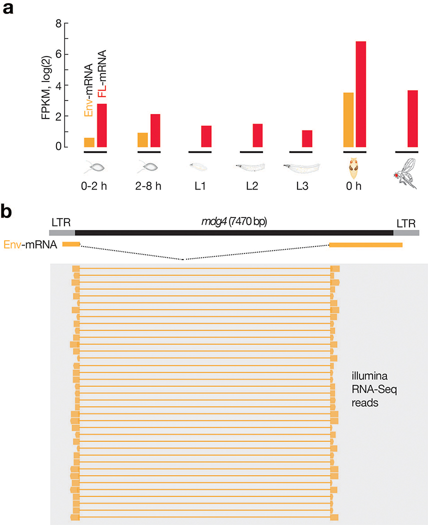 Extended Data Fig. 4 |