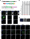 Extended Data Fig. 1 |