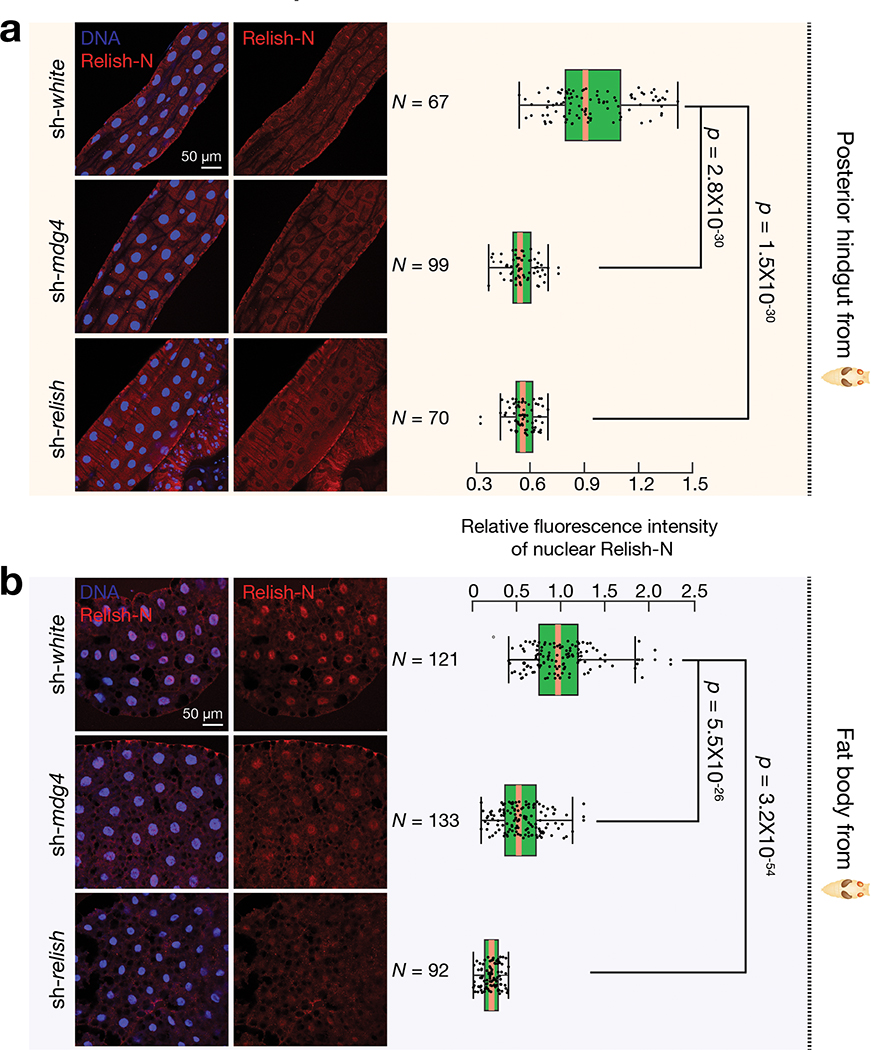 Fig. 7 |