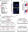 Extended Data Fig. 5 |