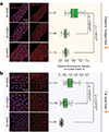 Fig. 7 |