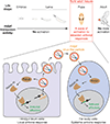 Extended Data Fig. 10 |