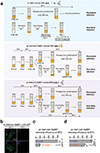 Extended Data Fig. 6 |