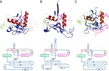 Fig. 2.