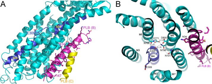 FIGURE 4.