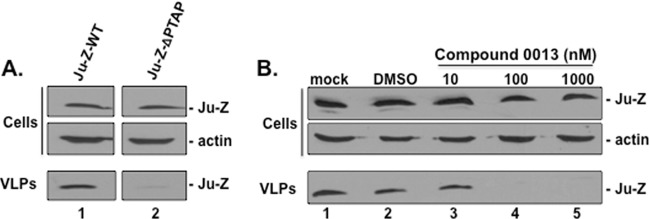 FIG 4