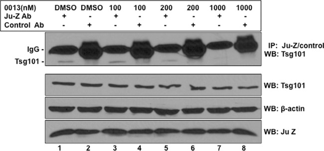 FIG 3