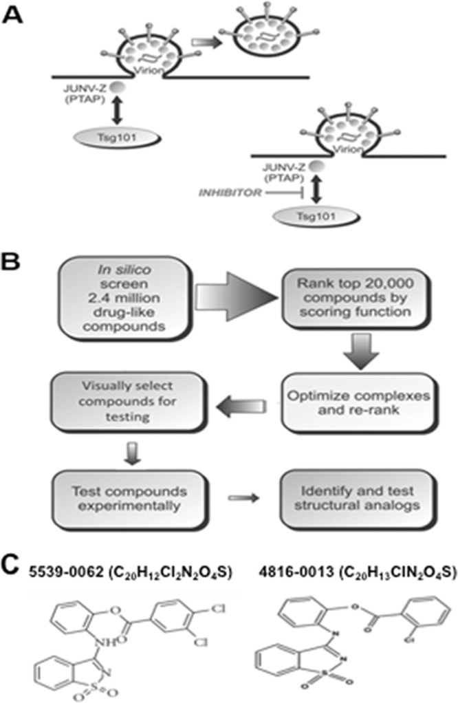 FIG 1