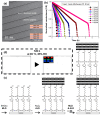 Figure 24