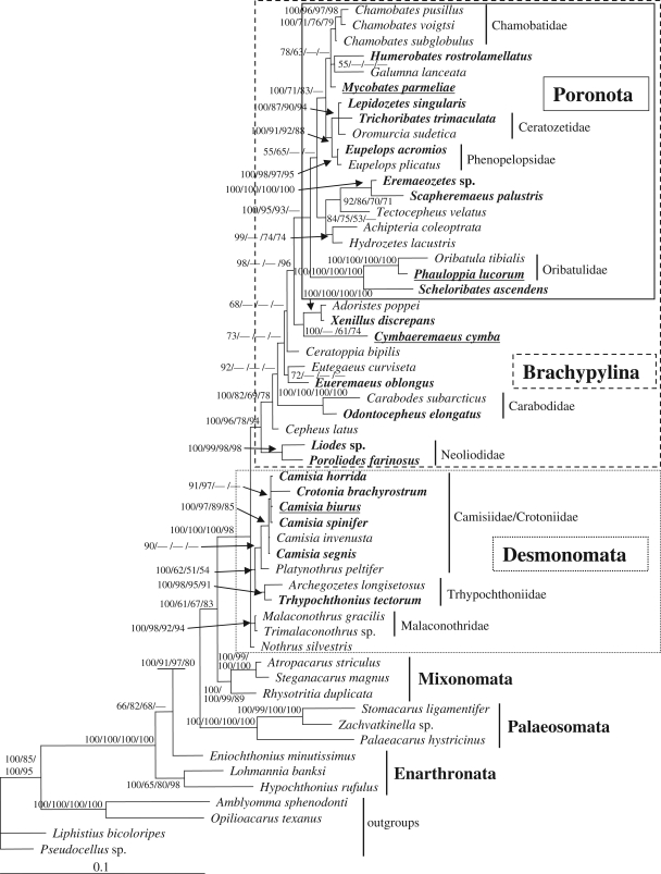 Figure 1.