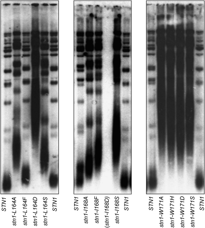 Figure 3.—