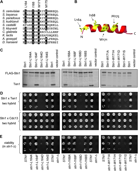 Figure 2.—