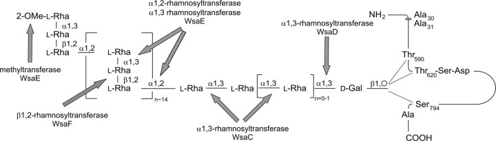 FIGURE 9.