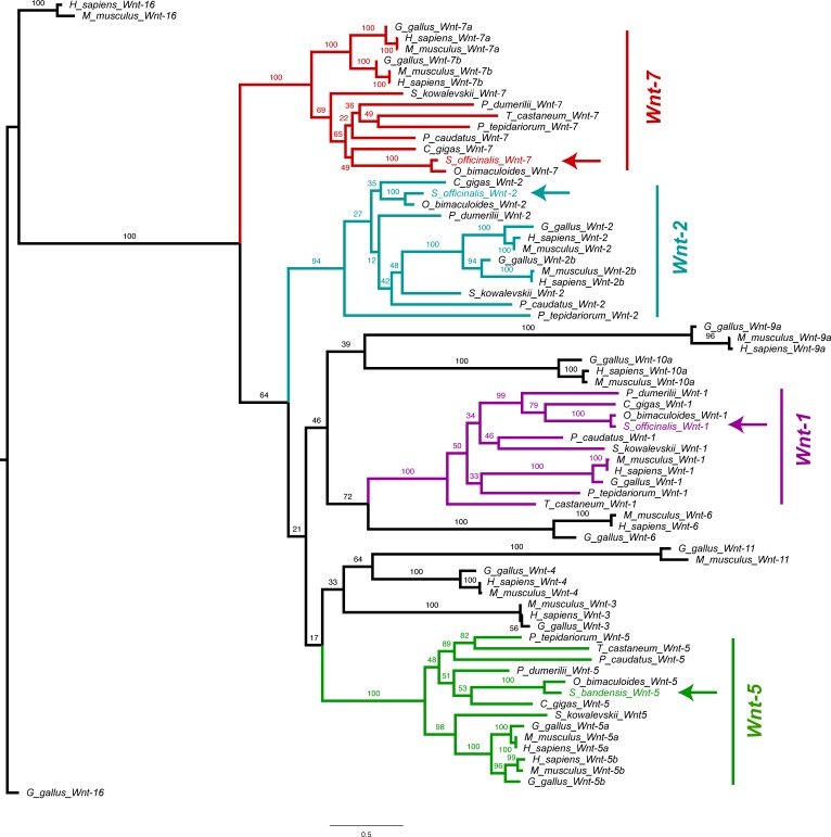 Figure 2—figure supplement 1.