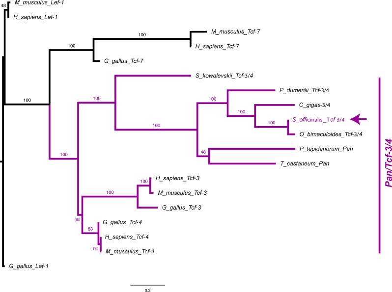 Figure 2—figure supplement 2.