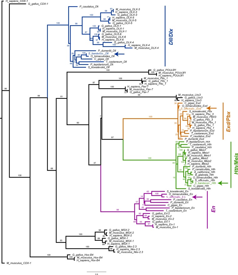 Figure 2—figure supplement 5.