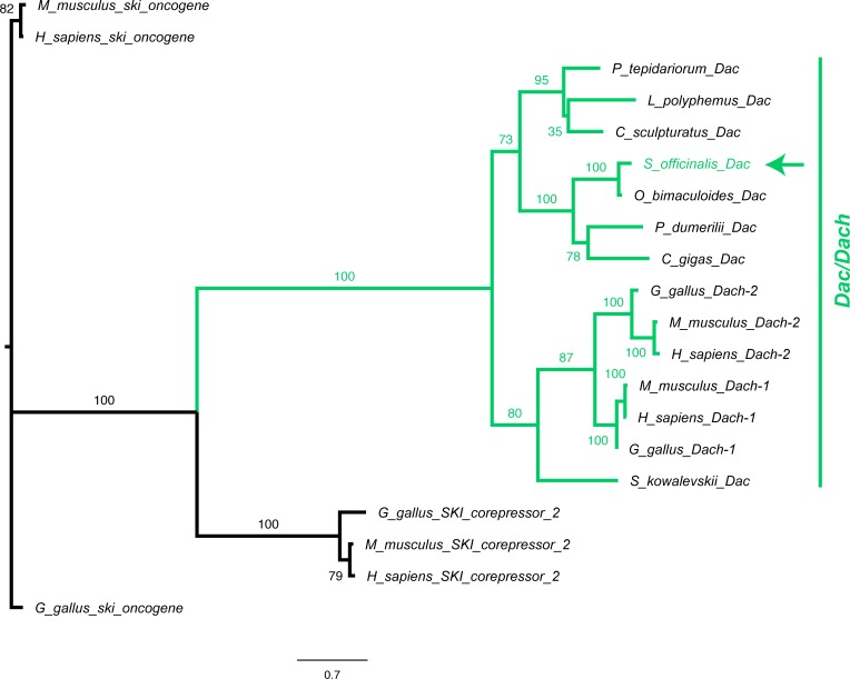 Figure 2—figure supplement 3.