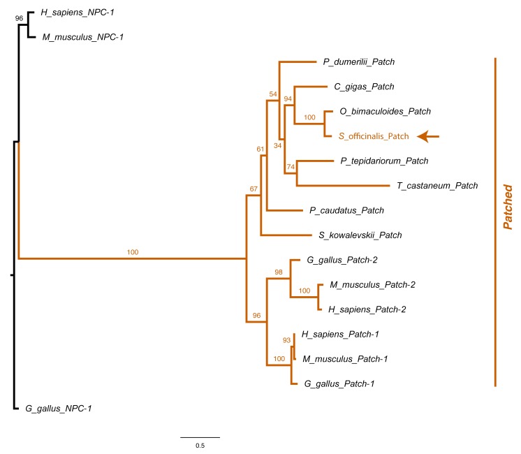 Figure 2—figure supplement 10.