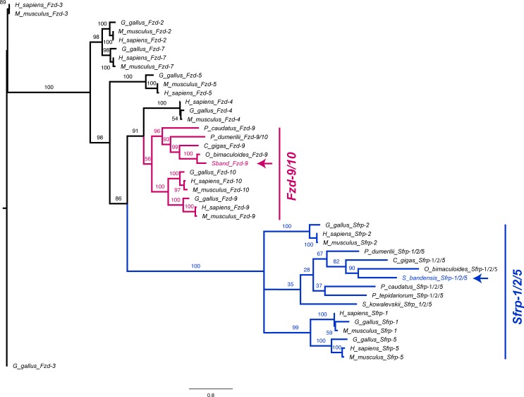 Figure 2—figure supplement 7.