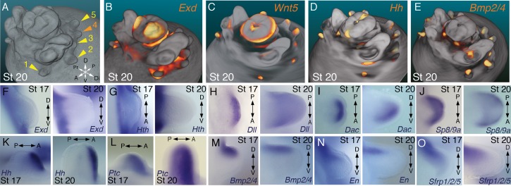 Figure 2.