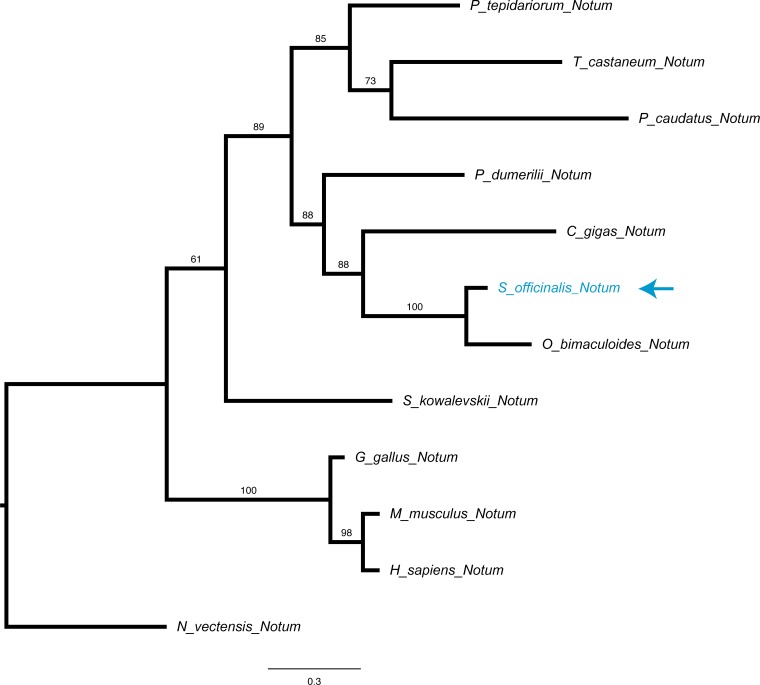 Figure 2—figure supplement 6.