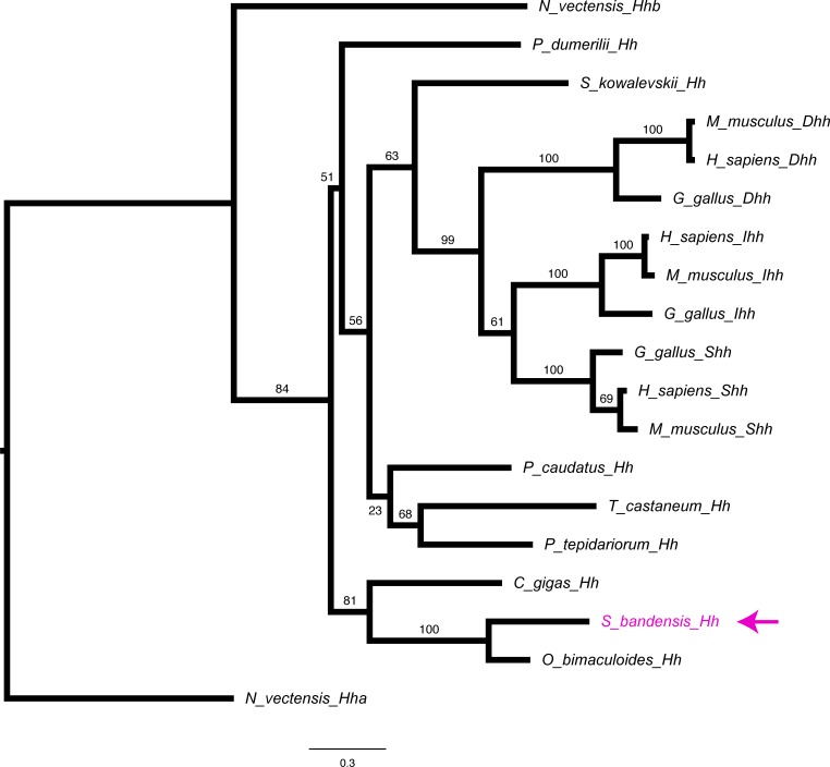 Figure 2—figure supplement 9.