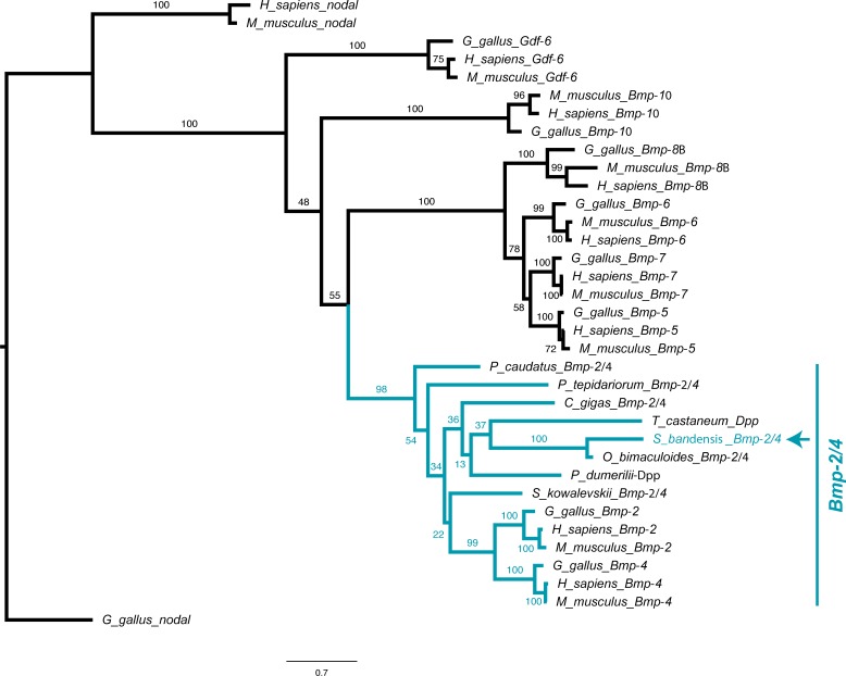 Figure 2—figure supplement 8.