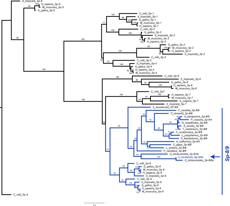 Figure 2—figure supplement 4.