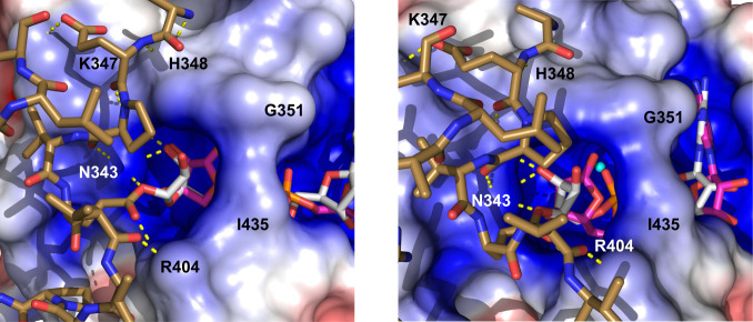 Fig. 6.