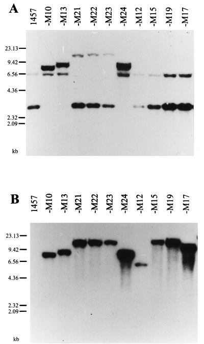 FIG. 1