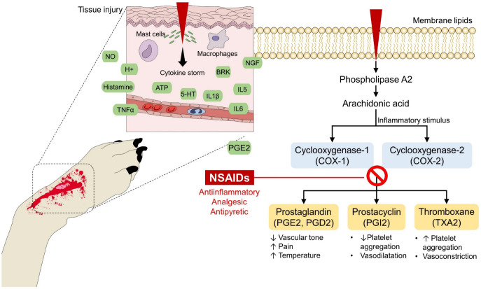 Figure 10