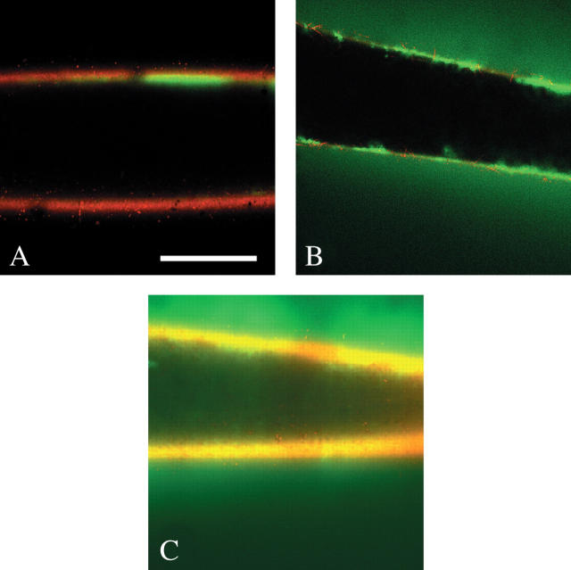 Fig. 8.