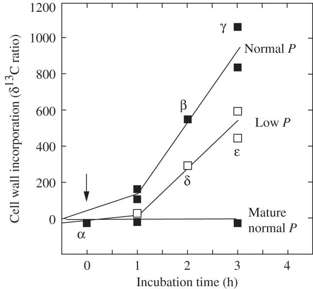 Fig. 3.