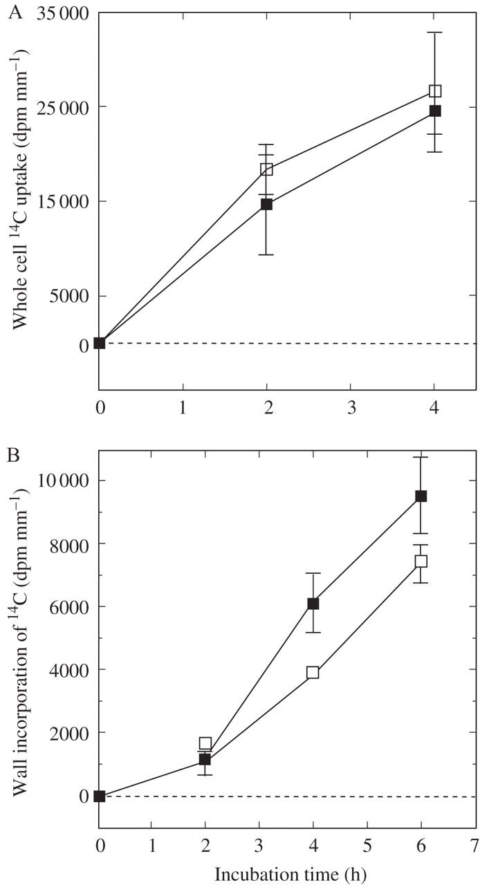 Fig. 5.