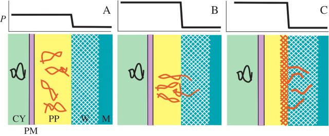 Fig. 10.