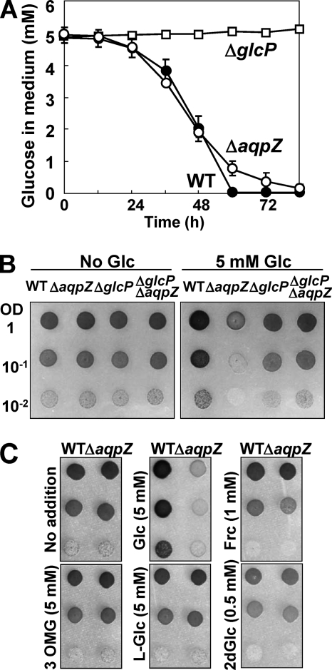 FIGURE 7.