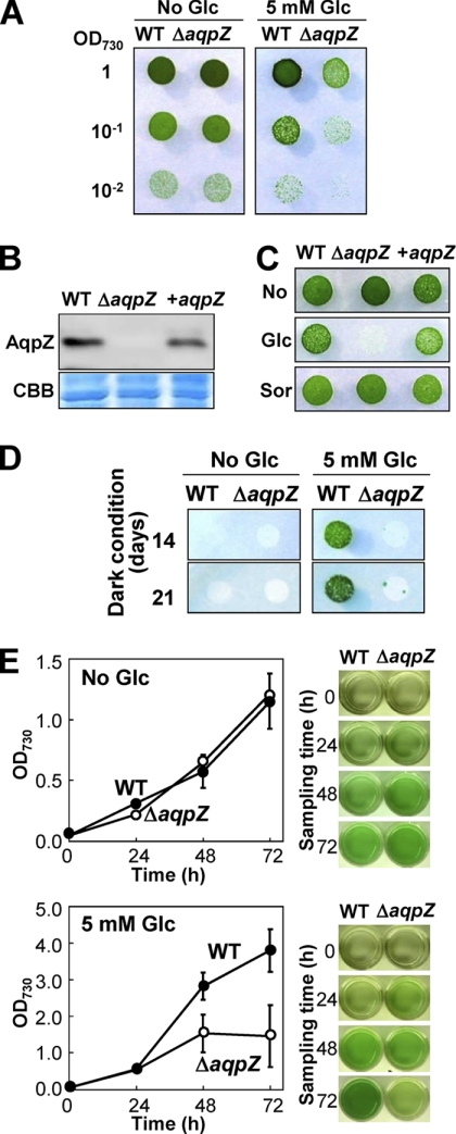 FIGURE 3.