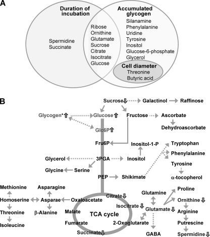 FIGURE 10.