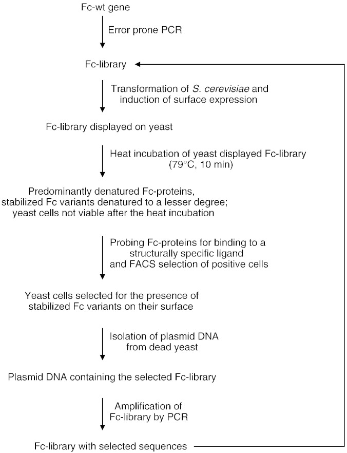 Fig. 2