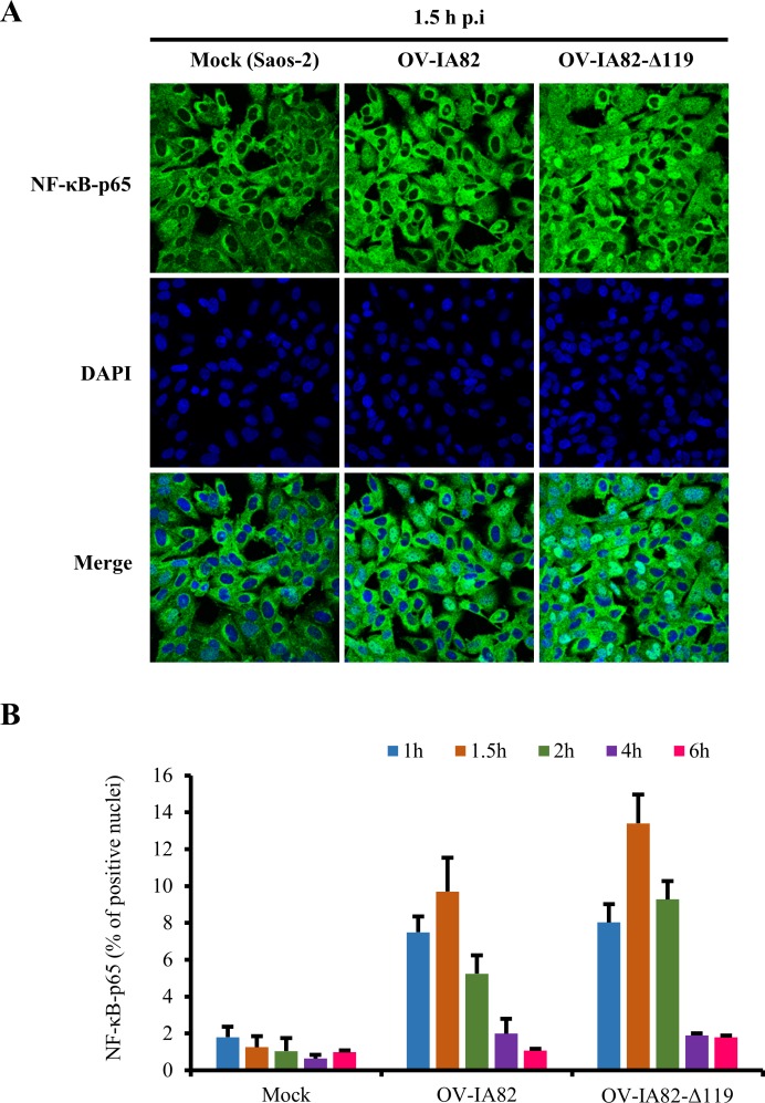 Fig 10