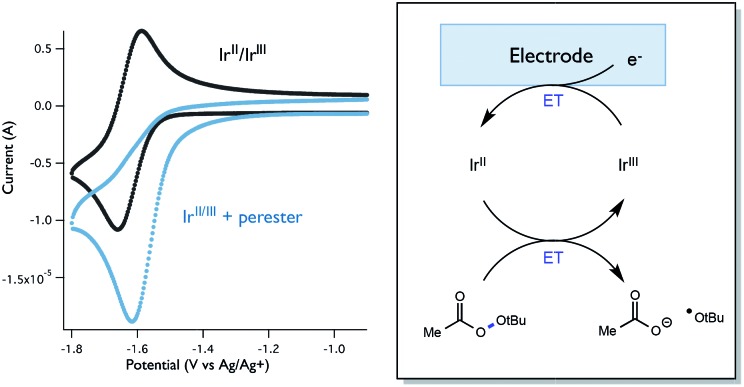 Fig. 12