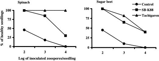 FIG. 9.